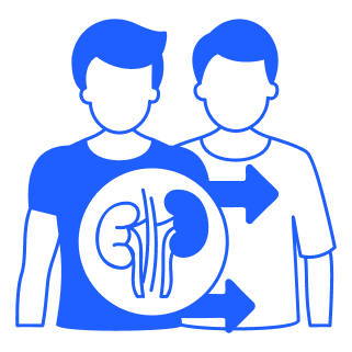 Kidney Transplantation 1