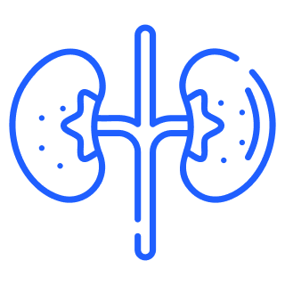 kidney stones